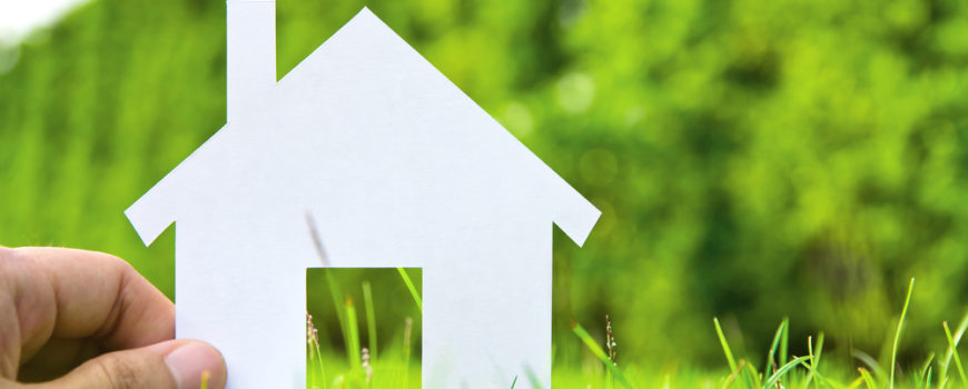 shutterstock 81526456